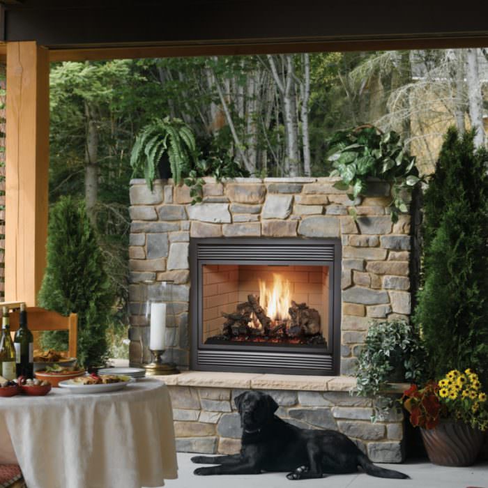 Fireplace Xtrordinair – 864 TV 40K Gas Fireplace 2
